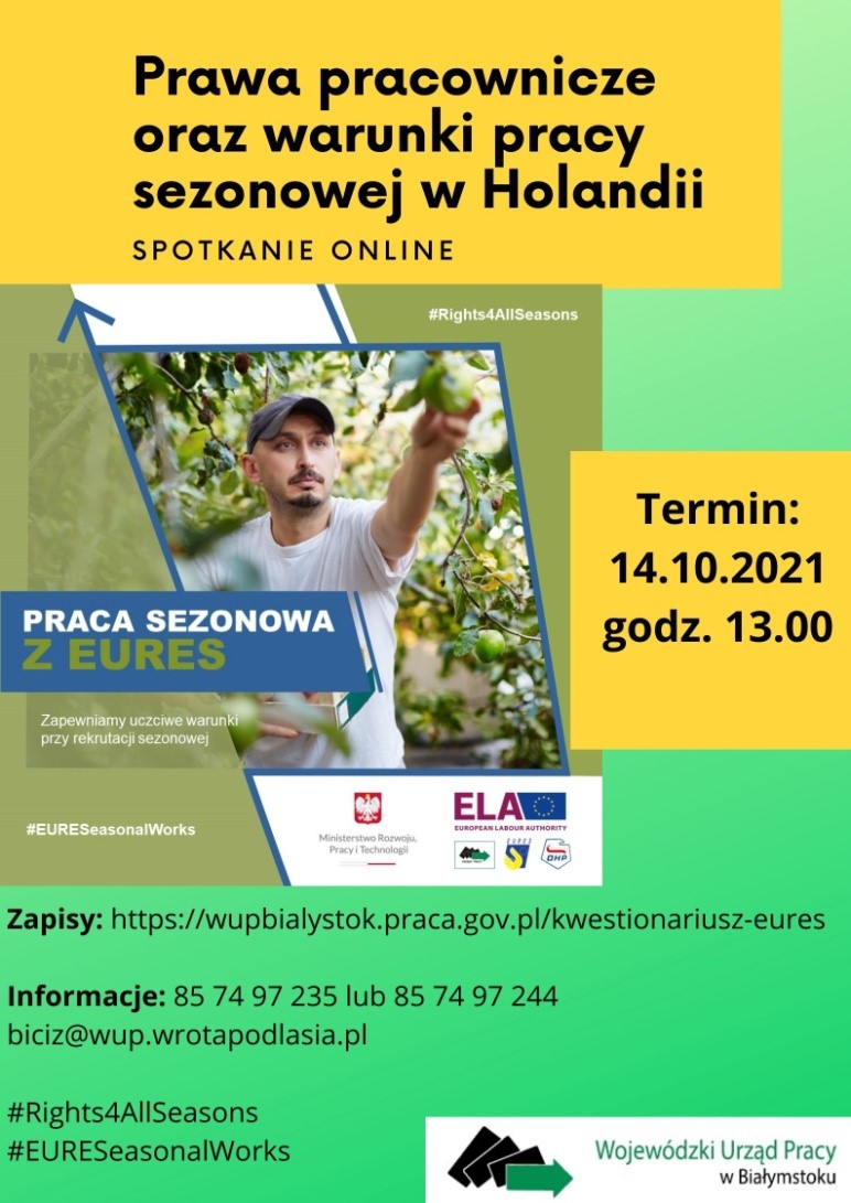 prawa pracownicze oraz warunki pracy sezonowej w Holandii